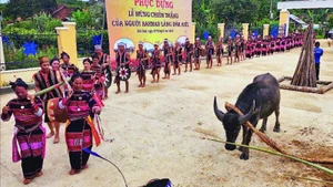 Lễ hội “Mừng chiến thắng” của người Ba Na làng Đăk Asêl cảm tạ thần linh đã ban cho dân làng sức khỏe, mùa màng tươi tốt, là dịp để gắn kết, sẻ chia việc chung của làng.