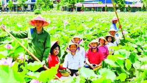 Đại diện các doanh nghiệp thuộc Câu lạc bộ Lữ hành UNESCO Hà Nội khảo sát tour du lịch mới tại Hải Dương.