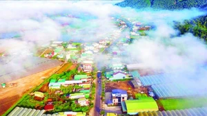 Vùng nông thôn Đơn Dương, với những ngôi nhà khang trang và những khu sản xuất nông nghiệp công nghệ cao thấp thoáng trong sương sớm.