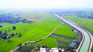 Kênh Đông đã thay đổi bộ mặt nông nghiệp của địa phương, biến mảnh đất khô cằn trở nên màu mỡ, trù phú.