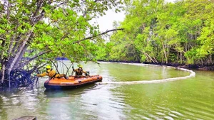 Nhân viên Trung tâm Ứng phó sự cố môi trường Việt Nam xử lý dầu loang vào rừng ngập mặn Cần Giờ.