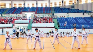 Võ sinh Taekwondo Cần Thơ thi nâng cấp đai quý II/2025.