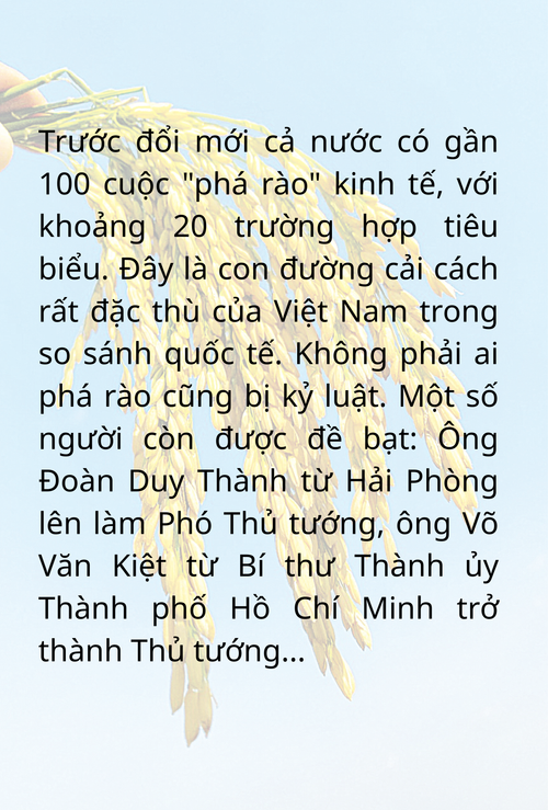 tu-dai-hoi-vii-den-nay-dang-cong-san-viet-nam-da-lien-tuc-phat-trien-hoan-thien-va-day-manh-cong-cuoc-doi-moi-tren-tat-ca-cac-linh-vuc-voi-trong-tam-la-phat-trien-kinh-te-thi-truong-dinh-huong-2.png