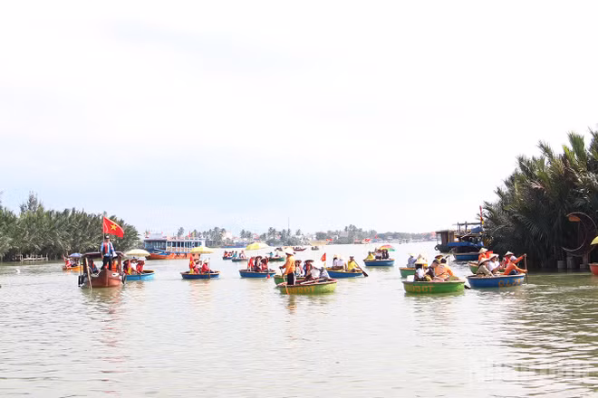 Rừng dừa Bảy Mẫu Cẩm Thanh với hình ảnh du lịch sinh thái sông nước đặc trưng.