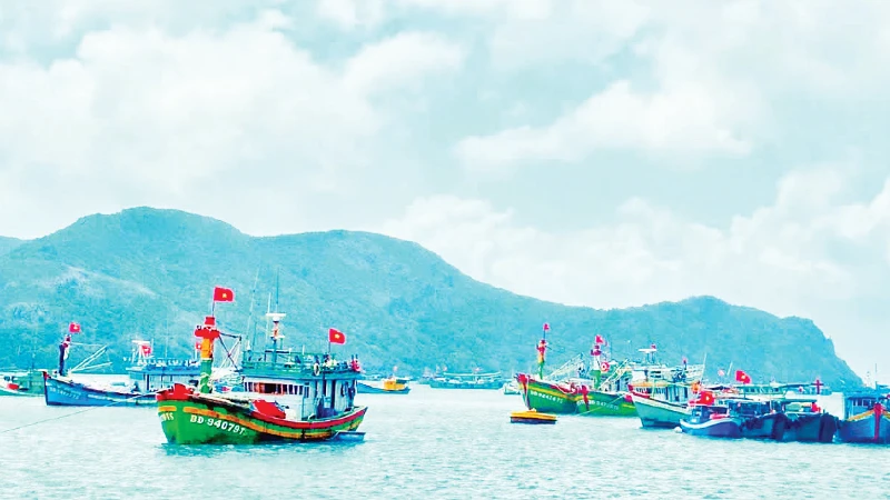 Côn Đảo: Hành trình từ lịch sử đau thương đến điểm sáng du lịch sinh thái