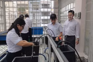 Nhiều trường học ở Thành phố Hồ Chí Minh tổ chức các hoạt động trải nghiệm cho học sinh trong giờ ra chơi.