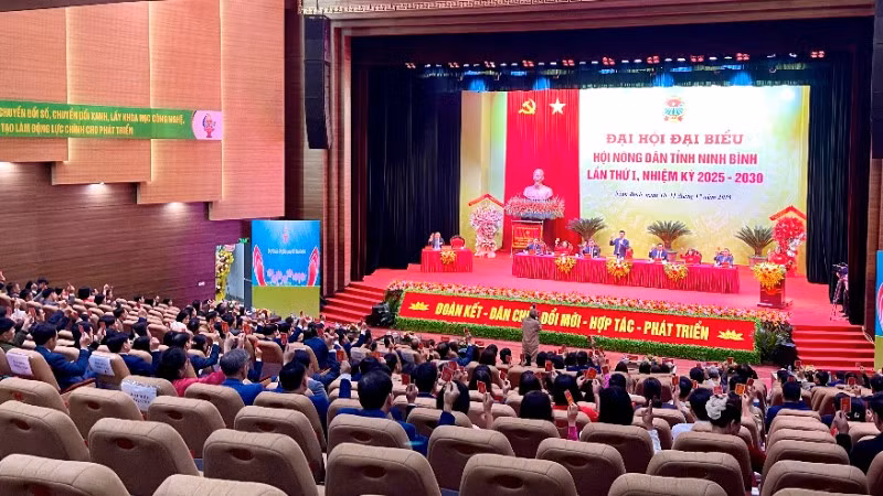 Đây là nhiệm kỳ đầu tiên sau sáp nhập, Hội Nông dân tỉnh thực hiện mô hình tổ chức Hội tinh gọn, hoạt động hiệu lực, hiệu quả hơn.