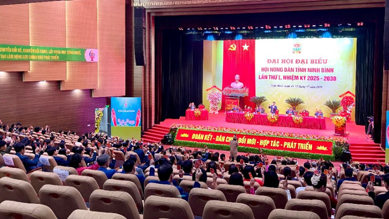 Đây là nhiệm kỳ đầu tiên sau sáp nhập, Hội Nông dân tỉnh thực hiện mô hình tổ chức Hội tinh gọn, hoạt động hiệu lực, hiệu quả hơn.