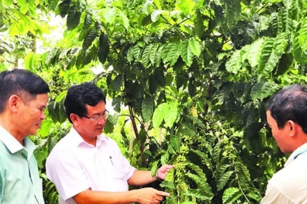 Lãnh đạo xã Phú Vinh (tỉnh Đồng Nai) sâu sát gắn bó với nông dân, tích cực đưa nghị quyết vào sản xuất nông nghiệp, xây dựng nông thôn mới.