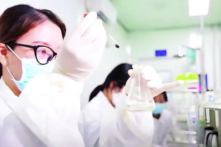 Phong trào thi đua trong doanh nghiệp đã khơi dậy tinh thần cống hiến, sáng tạo của công nhân viên lao động Công ty Life Gift Việt Nam.