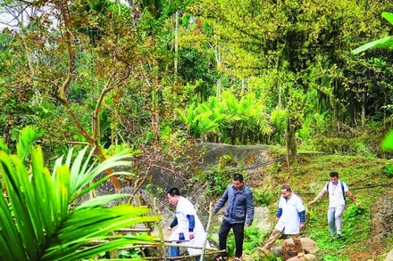 Cán bộ y tế vào bản phòng chống dịch bệnh tại Nghệ An. (Ảnh ĐỨC ANH)