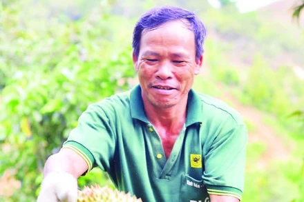 Người dân Lâm Đồng phấn khởi vào vụ thu hoạch sầu riêng.