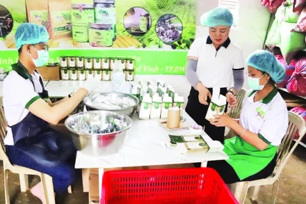 Bà Hoàng Thị Ngát (người đứng giữa) Giám đốc Hợp tác xã Trà thảo mộc Cô Ngát Natural hướng dẫn các nhân viên là người khuyết tật kỹ thuật đóng gói hộp trà.