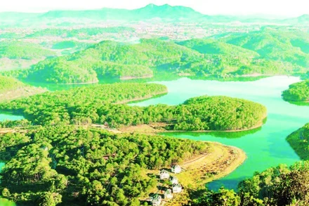 Thảm xanh Khu dự trữ sinh quyển thế giới Langbiang.