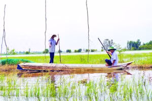 Thành viên Hợp tác xã Sản xuất nông nghiệp sinh thái Quyết Tiến kiểm tra lưới bao quanh vùng nuôi trữ cá.