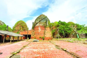 Nhiều khu đất lò gạch được người dân trồng cây xanh để phát triển du lịch.