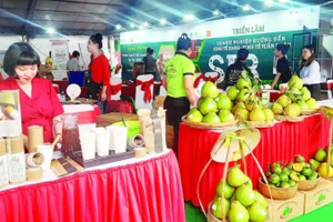 Doanh nghiệp giới thiệu sản phẩm thông qua các hoạt động xúc tiến thương mại do Thành phố Hồ Chí Minh tổ chức.