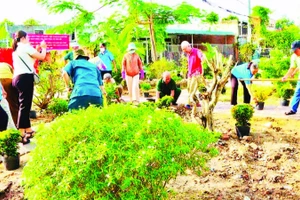 Người dân ấp Hải Lộc (xã Long Hải) chung tay xây dựng “Tiểu công viên cây xanh” trên địa bàn.