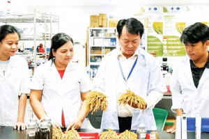 Đại học Cần Thơ khuyến khích sinh viên, học viên và nghiên cứu sinh tham gia nghiên cứu, thực tập.