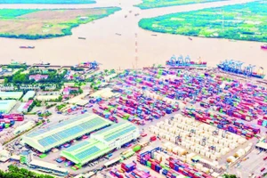 Thu từ hoạt động xuất-nhập khẩu qua các cảng biển là một nguồn thu ngân sách nhà nước quan trọng của thành phố. (Ảnh CTV)