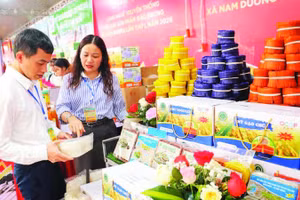 Giới thiệu sản phẩm mì gạo của thành viên Câu lạc bộ Hợp tác xã Lục Ngạn.