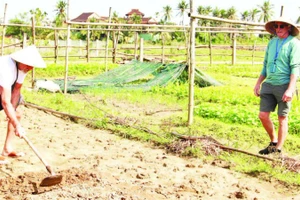 Khách du lịch trải nghiệm làm nông dân.