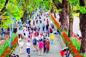 Khách du lịch đến Huế tăng cao trong dịp Tết.