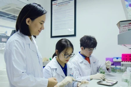 Giảng viên Trường đại học Khoa học và Công nghệ Hà Nội hướng dẫn sinh viên nghiên cứu khoa học. (Ảnh: USTH)