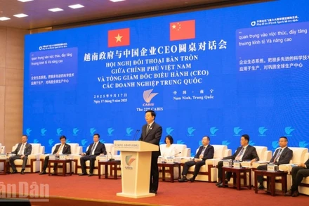 Phó Thủ tướng Chính phủ Mai Văn Chính phát biểu tại hội nghị.