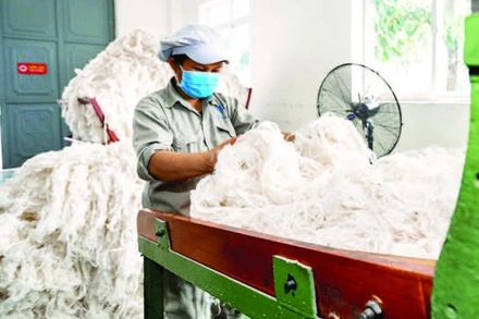 Nhà máy sợi gai An Phước - Viramie là nhà máy đầu tiên tại Việt Nam sản xuất sợi từ cây gai xanh theo quy trình khép kín từ vùng nguyên liệu đến chế biến. (Ảnh: TÙNG ĐINH)