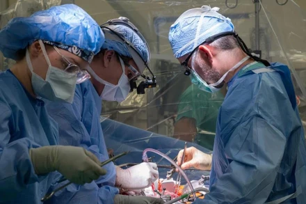 (Ảnh minh họa: Northwestern Medicine)