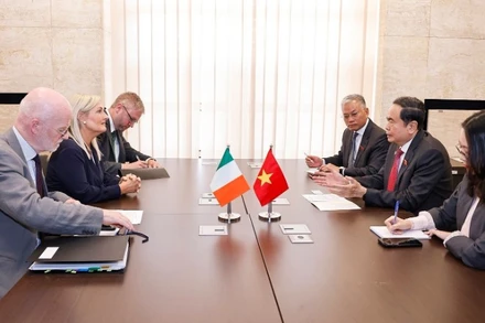 Chủ tịch Quốc hội Trần Thanh Mẫn gặp Chủ tịch Hạ viện Ireland Verona Murphy. (Ảnh: DOÃN TẤN/TTXVN)
