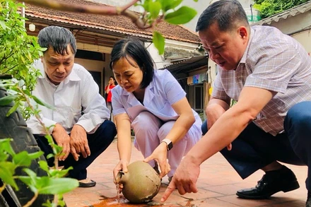 Cán bộ Y tế Trung tâm Kiểm soát bệnh tật (CDC) thành phố Hà Nội kiểm tra, giám sát công tác diệt bọ gậy tại cộng đồng để phòng, chống bệnh sốt xuất huyết.
