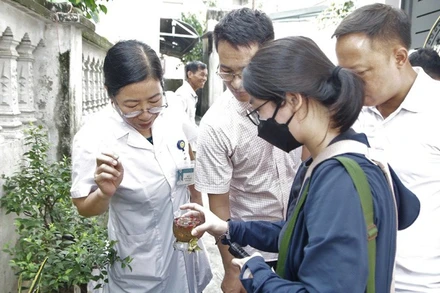 Cán bộ y tế Hà Nội giám sát, điều tra véc tơ truyền bệnh sốt xuất huyết tại cộng đồng.