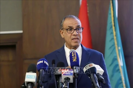 Bộ trưởng Ngoại giao Ai Cập Badr Abdelatty.
