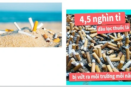 Rác thải từ thuốc lá gây ô nhiễm môi trường không khí, đất, nước tại các quốc gia trên thế giới.