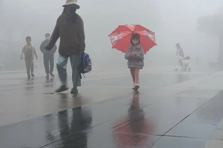 Bụi PM2.5 được đánh giá là tác nhân ô nhiễm không khí có ảnh hưởng tiêu cực nhất tới sức khỏe con người, nhất là bệnh phổi.