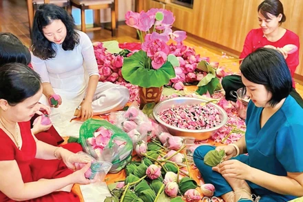 Hợp tác xã Trà sen Hương Thủy tăng cường sản xuất vào dịp cuối năm.