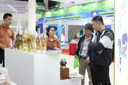 Khách hàng tham quan, tìm hiểu sản phẩm tại triển lãm.