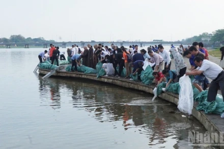 Gần 140.000 con giống thủy sản đã được thả xuống sông Hương vào sáng nay (3/3).