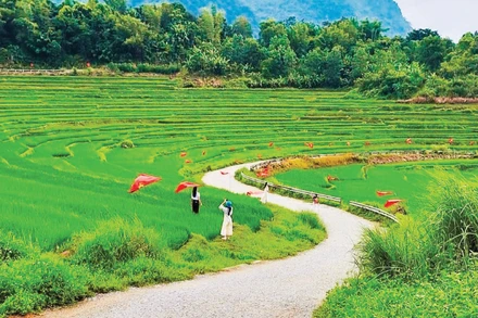 Thanh Hóa Du Khách Check-In Cùng Những Thửa Ruộng Bậc Thang Xanh Mướt Ở Pù Luông, Thanh Hóa. (Ảnh: Huyền Phạm)
