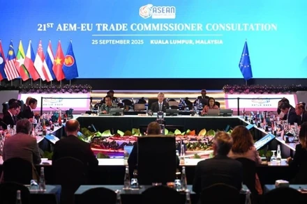 Các nhà lãnh đạo ASEAN và EU thảo luận giải pháp tăng cường hợp tác kinh tế. (Ảnh ASEAN.ORG)