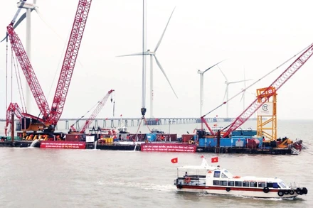 Công trình dự án nhà máy điện gió ngoài khơi, vị trí biển V1-7, xã Đông Hải, tỉnh Vĩnh Long.