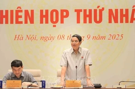  Phó Chủ tịch Quốc hội Nguyễn Đức Hải phát biểu. (Ảnh: TTXVN)