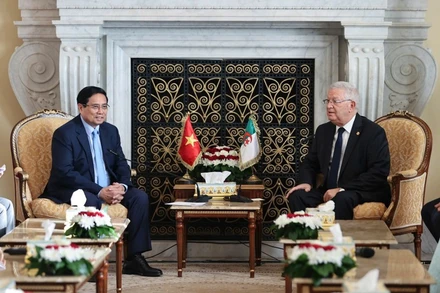 Thủ tướng Chính phủ Phạm Minh Chính hội kiến Chủ tịch Hội đồng Dân tộc (Thượng viện) Algeria Azzouz Nasri. (Ảnh: VGP/Nhật Bắc)