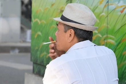 Tỷ lệ nam giới trưởng thành ở Việt Nam hút thuốc lá vẫn còn cao.