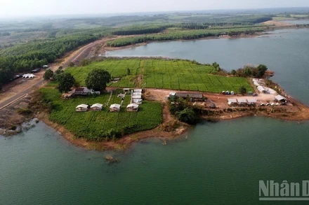 Nhiều vi phạm về đất đai, xây dựng tại khu vực bán ngập nước hồ Trị An trong những năm qua.