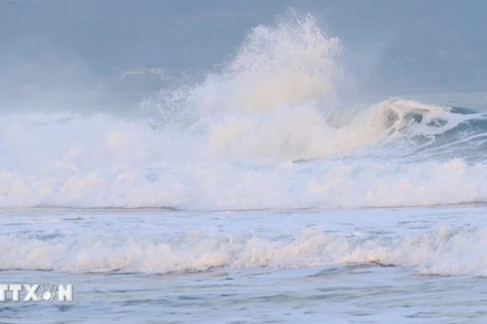 Ảnh minh họa. (Nguồn: TTXVN)