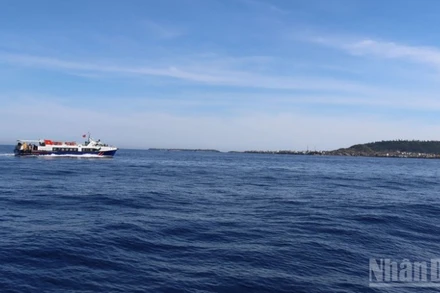 Sở Xây dựng tỉnh Quảng Ngãi yêu cầu các đơn vị vận tải thủy tuyến Sa Kỳ-Lý Sơn chủ động tổ chức phân lịch chạy tàu trên tuyến, phù hợp với yêu cầu đi lại của khách trong dịp Tết, tuyệt đối không để xảy ra tình trạng ùn ứ khách tại cảng.