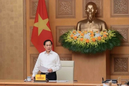 Phó Thủ tướng Bùi Thanh Sơn.